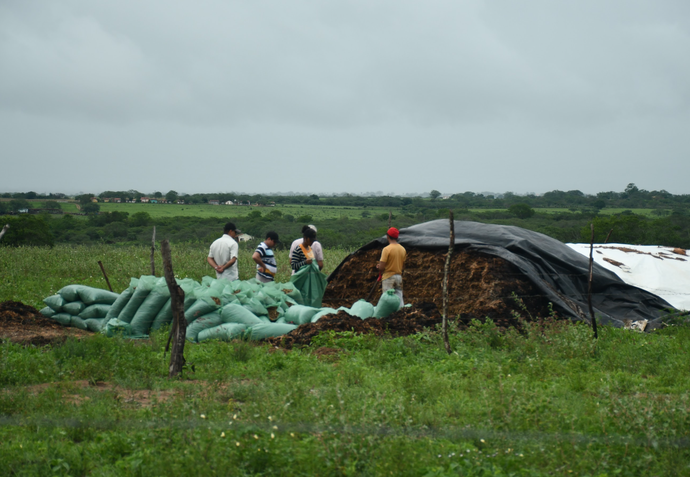 Fumicultura